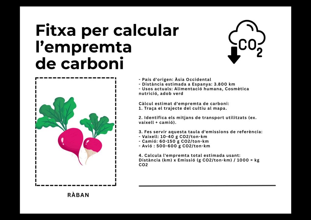 CAT FITXES empremta carboni