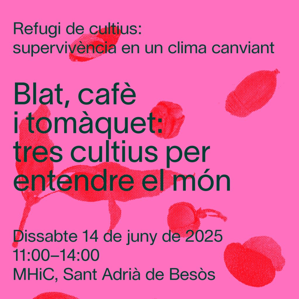 IG-Crops-Refuge-Blat-cafè-tomàquet-1080x1080 (1)
