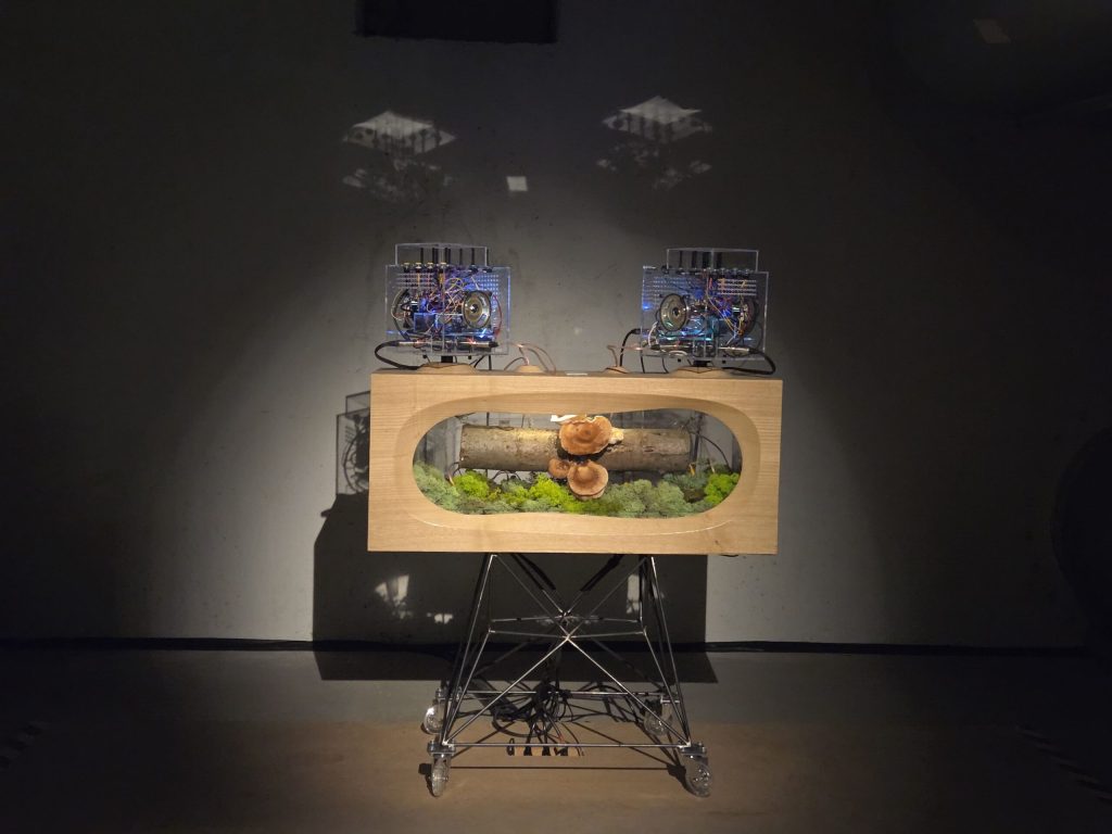 20250906_135833-scaled