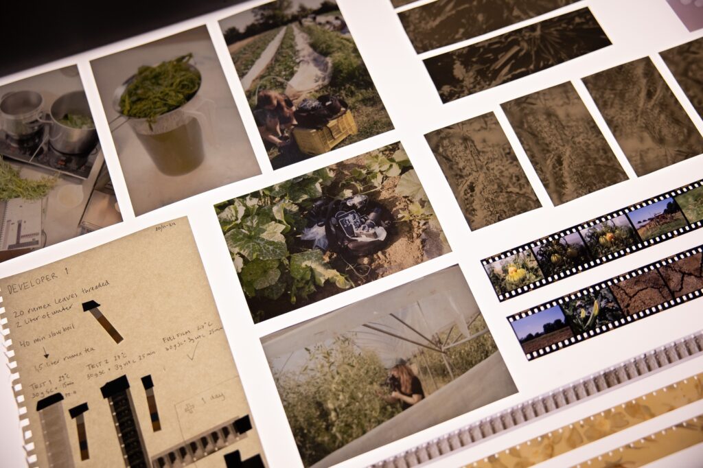 TM1147_1600x1066-1024x682